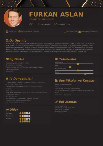 Endüstri Mühendisi CV Örnekleri cv indir